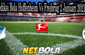 Prediksi Bola Hoffenheim Vs Freibrug 2 Januari 2021