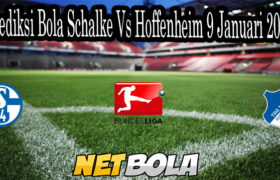 Prediksi Bola Schalke Vs Hoffenheim 9 Januari 2021