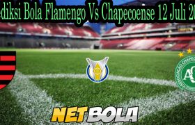 Prediksi Bola Flamengo Vs Chapecoense 12 Juli 2021