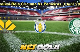 Prediksi Bola Cricuma Vs Palmeiras 3 Juni 2024