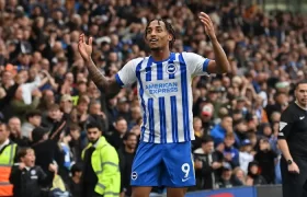 Liverpool Incar Striker Brighton Untuk Pengganti Darwin Nunez