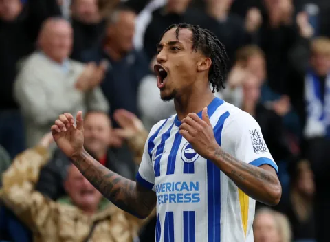 Liverpool Incar Striker Brighton Untuk Pengganti Darwin Nunez